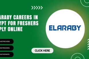 Elaraby Careers
