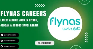 FlyNas Careers