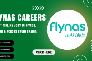 FlyNas Careers