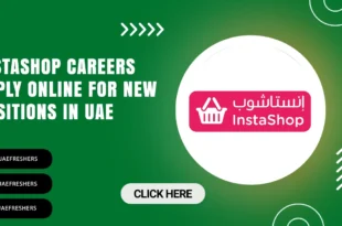 Instashop Careers