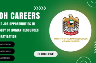 MOH Careers
