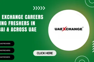 247uaefreshers.org